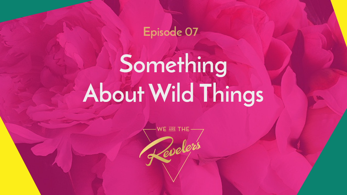 we are the REVELERS | Something About Wild Things